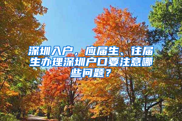 深圳入戶，應(yīng)屆生、往屆生辦理深圳戶口要注意哪些問題？