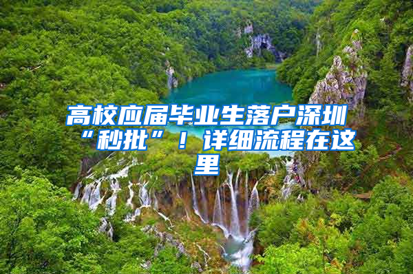 高校應(yīng)屆畢業(yè)生落戶深圳“秒批”！詳細流程在這里