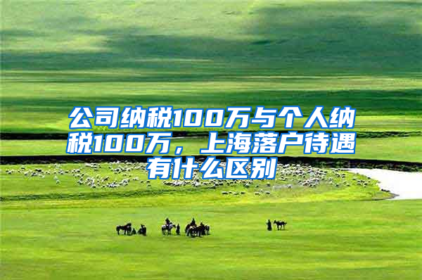 公司納稅100萬與個人納稅100萬，上海落戶待遇有什么區(qū)別