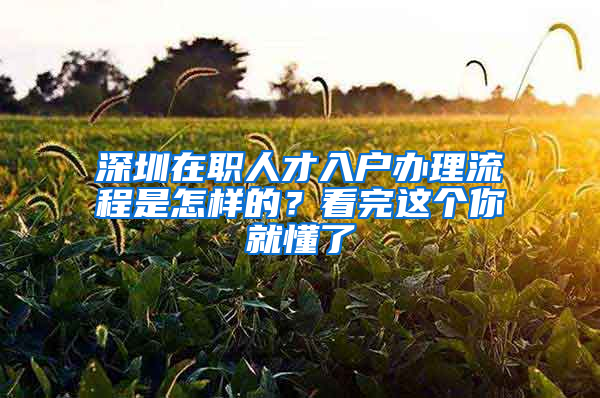 深圳在職人才入戶辦理流程是怎樣的？看完這個(gè)你就懂了