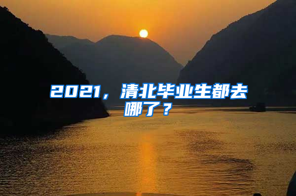 2021，清北畢業(yè)生都去哪了？