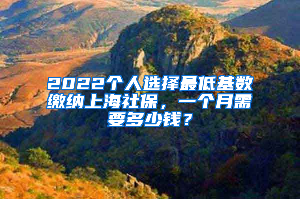 2022個(gè)人選擇最低基數(shù)繳納上海社保，一個(gè)月需要多少錢(qián)？