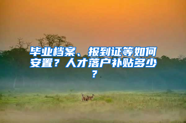 畢業(yè)檔案、報(bào)到證等如何安置？人才落戶補(bǔ)貼多少？