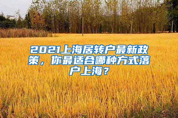 2021上海居轉(zhuǎn)戶最新政策，你最適合哪種方式落戶上海？