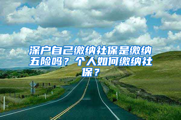 深戶(hù)自己繳納社保是繳納五險(xiǎn)嗎？個(gè)人如何繳納社保？