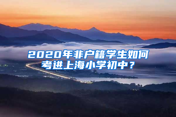 2020年非戶籍學(xué)生如何考進(jìn)上海小學(xué)初中？