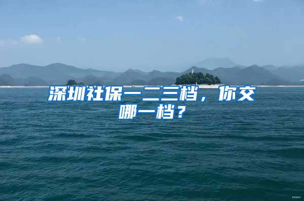 深圳社保一二三檔，你交哪一檔？