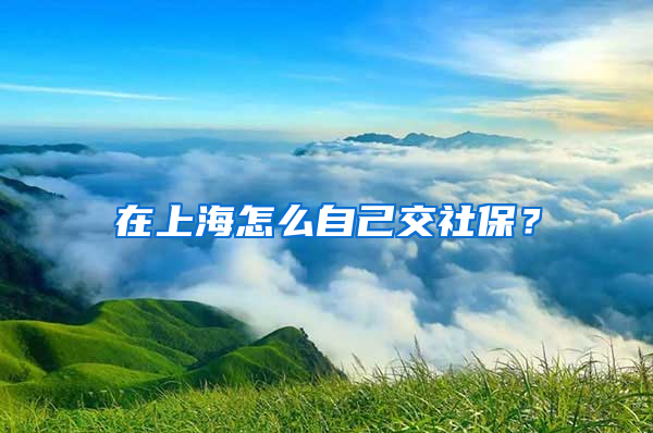 在上海怎么自己交社保？