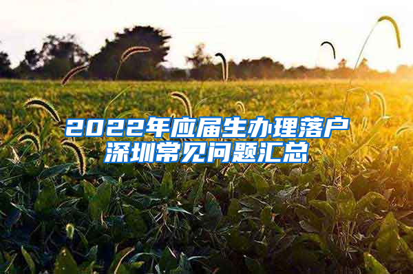 2022年應(yīng)屆生辦理落戶(hù)深圳常見(jiàn)問(wèn)題匯總