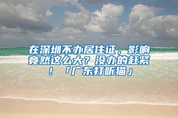 在深圳不辦居住證，影響竟然這么大？沒辦的趕緊！「廣東打聽貓」