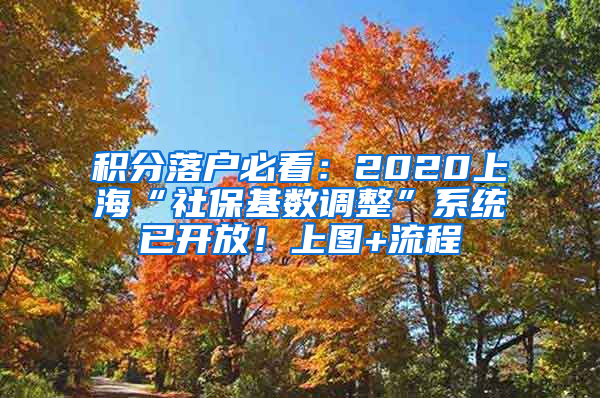 積分落戶必看：2020上?！吧绫；鶖?shù)調(diào)整”系統(tǒng)已開放！上圖+流程