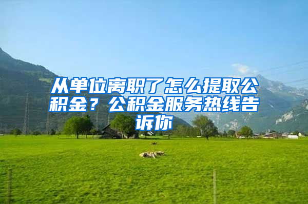 從單位離職了怎么提取公積金？公積金服務(wù)熱線告訴你