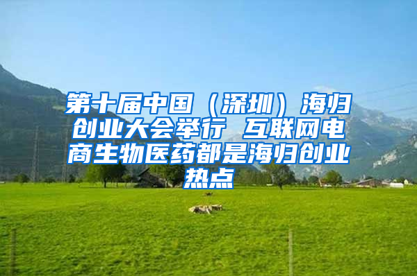 第十屆中國(guó)（深圳）海歸創(chuàng)業(yè)大會(huì)舉行 互聯(lián)網(wǎng)電商生物醫(yī)藥都是海歸創(chuàng)業(yè)熱點(diǎn)