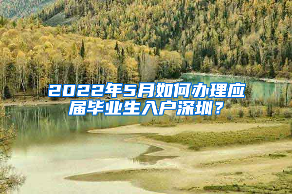 2022年5月如何辦理應屆畢業(yè)生入戶深圳？