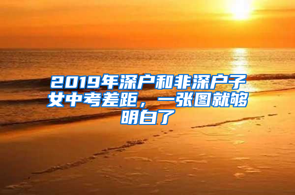 2019年深戶和非深戶子女中考差距，一張圖就夠明白了