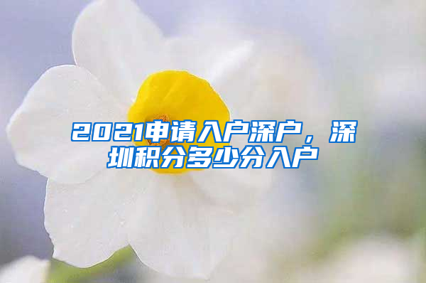 2021申請(qǐng)入戶深戶，深圳積分多少分入戶