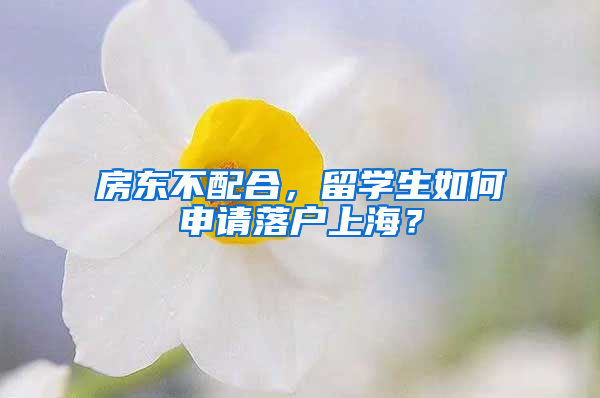 房東不配合，留學生如何申請落戶上海？