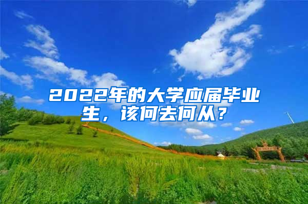 2022年的大學(xué)應(yīng)屆畢業(yè)生，該何去何從？