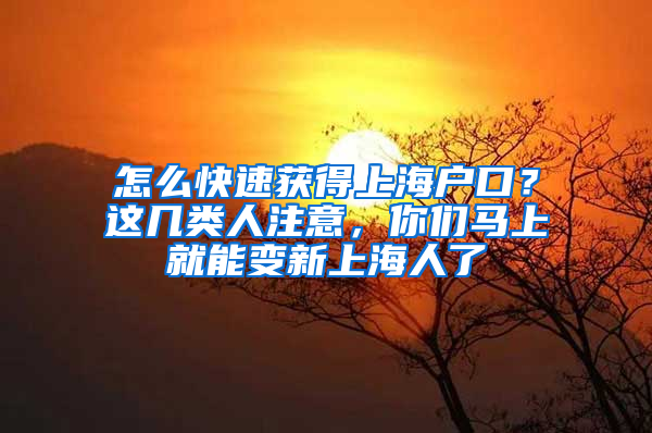 怎么快速獲得上海戶口？這幾類人注意，你們馬上就能變新上海人了