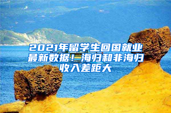 2021年留學(xué)生回國就業(yè)最新數(shù)據(jù)！海歸和非海歸收入差距大