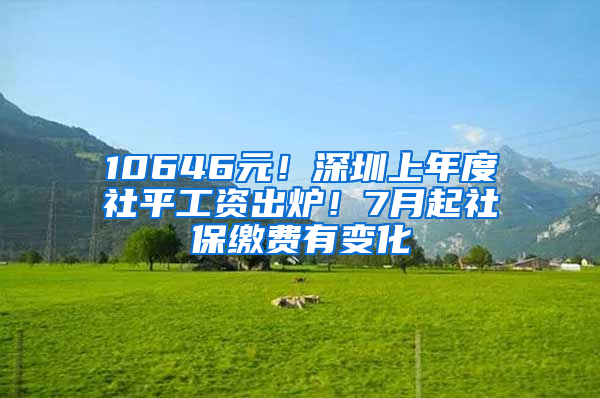 10646元！深圳上年度社平工資出爐！7月起社保繳費有變化