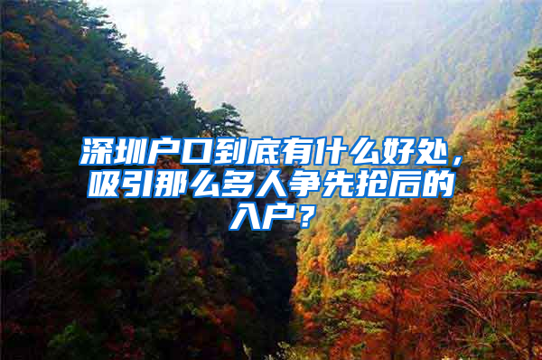 深圳戶口到底有什么好處，吸引那么多人爭先搶后的入戶？