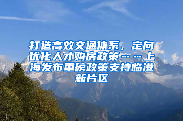 打造高效交通體系，定向優(yōu)化人才購(gòu)房政策……上海發(fā)布重磅政策支持臨港新片區(qū)