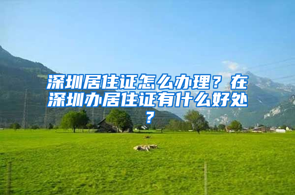 深圳居住證怎么辦理？在深圳辦居住證有什么好處？