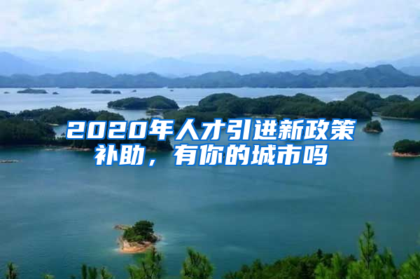 2020年人才引進新政策補助，有你的城市嗎