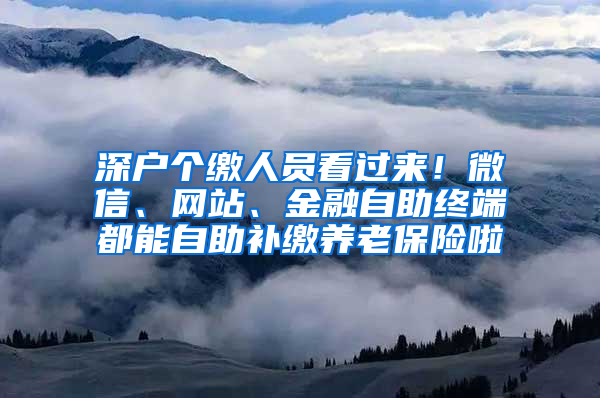 深戶個(gè)繳人員看過來！微信、網(wǎng)站、金融自助終端都能自助補(bǔ)繳養(yǎng)老保險(xiǎn)啦