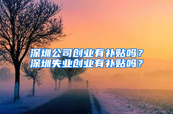 深圳公司創(chuàng)業(yè)有補(bǔ)貼嗎？深圳失業(yè)創(chuàng)業(yè)有補(bǔ)貼嗎？