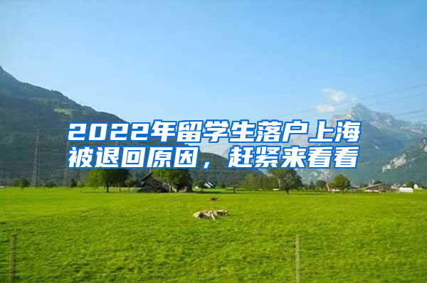 2022年留學(xué)生落戶(hù)上海被退回原因，趕緊來(lái)看看