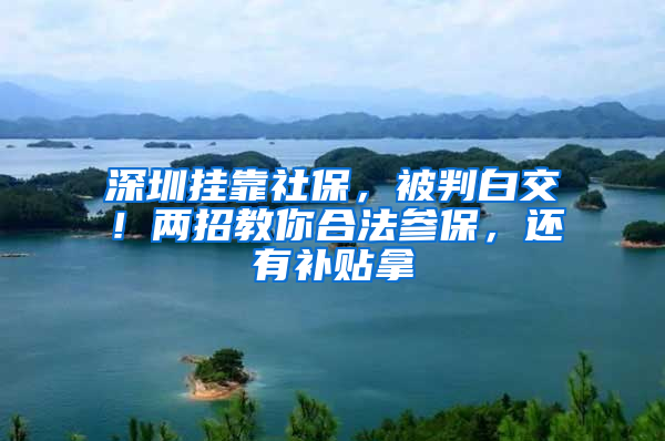 深圳掛靠社保，被判白交！兩招教你合法參保，還有補貼拿