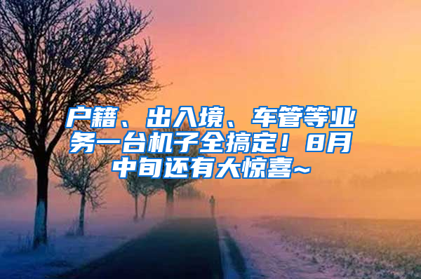 戶籍、出入境、車(chē)管等業(yè)務(wù)一臺(tái)機(jī)子全搞定！8月中旬還有大驚喜~