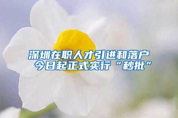 深圳在職人才引進(jìn)和落戶(hù) 今日起正式實(shí)行“秒批”