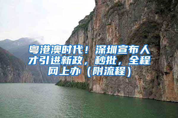 粵港澳時(shí)代！深圳宣布人才引進(jìn)新政，秒批，全程網(wǎng)上辦（附流程）