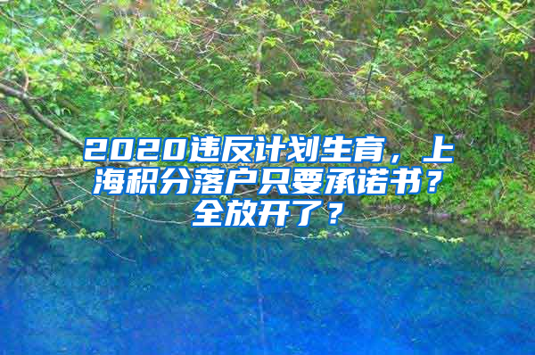 2020違反計(jì)劃生育，上海積分落戶只要承諾書？全放開(kāi)了？