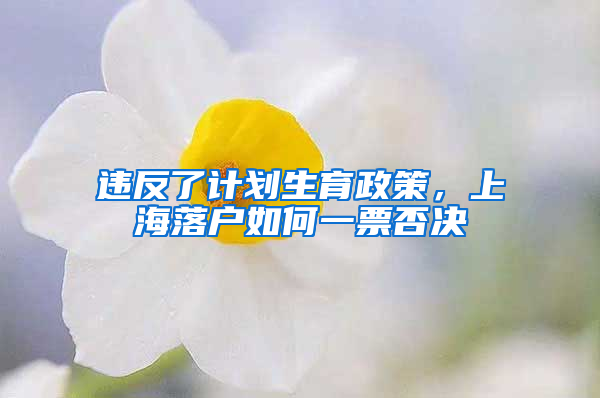 違反了計(jì)劃生育政策，上海落戶如何一票否決