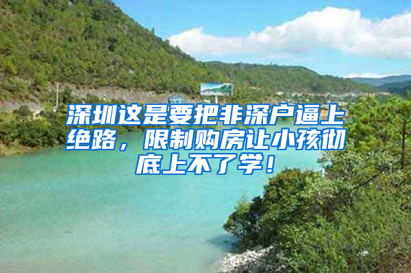 深圳這是要把非深戶逼上絕路，限制購房讓小孩徹底上不了學(xué)！