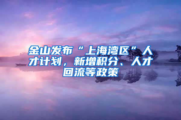 金山發(fā)布“上海灣區(qū)”人才計(jì)劃，新增積分、人才回流等政策