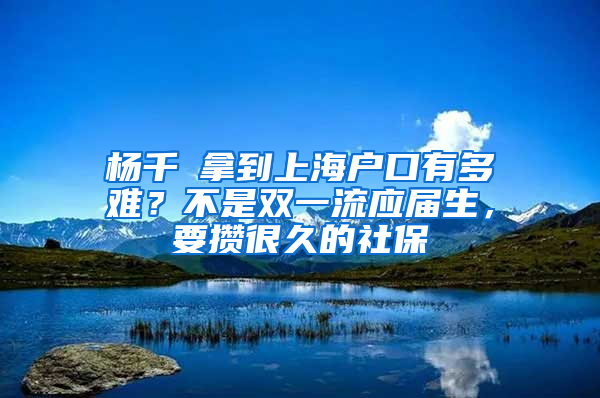 楊千嬅拿到上海戶口有多難？不是雙一流應(yīng)屆生，要攢很久的社保