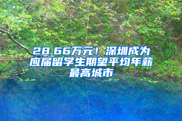 28.66萬元！深圳成為應(yīng)屆留學(xué)生期望平均年薪最高城市