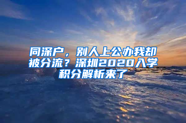 同深戶，別人上公辦我卻被分流？深圳2020入學(xué)積分解析來了