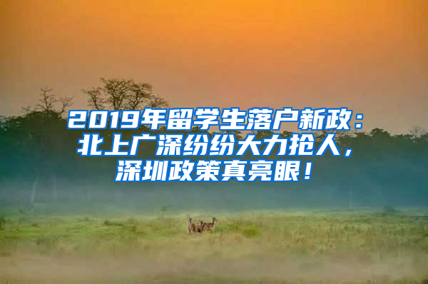 2019年留學(xué)生落戶新政：北上廣深紛紛大力搶人，深圳政策真亮眼！