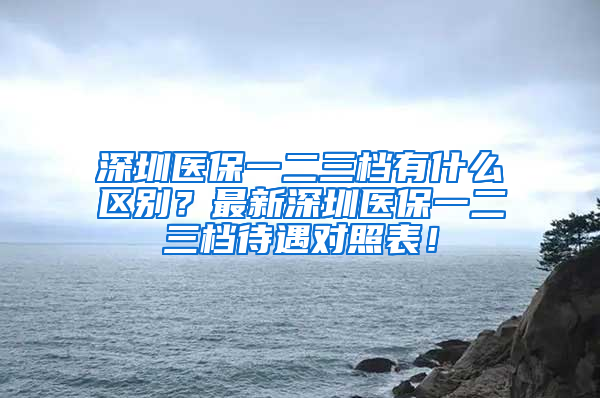 深圳醫(yī)保一二三檔有什么區(qū)別？最新深圳醫(yī)保一二三檔待遇對照表！