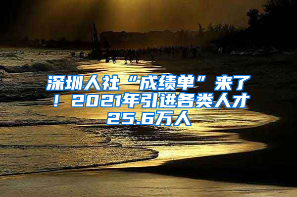 深圳人社“成績(jī)單”來(lái)了！2021年引進(jìn)各類人才25.6萬(wàn)人