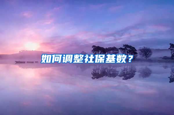 如何調(diào)整社?；鶖?shù)？