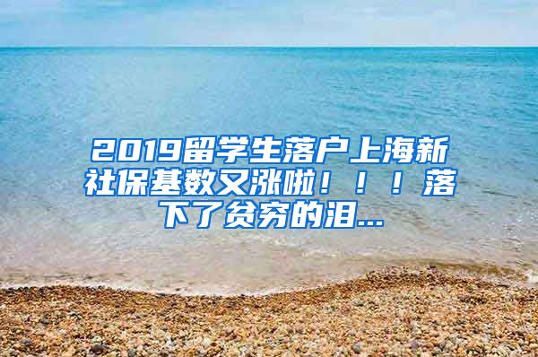 2019留學(xué)生落戶上海新社?；鶖?shù)又漲啦！??！落下了貧窮的淚...