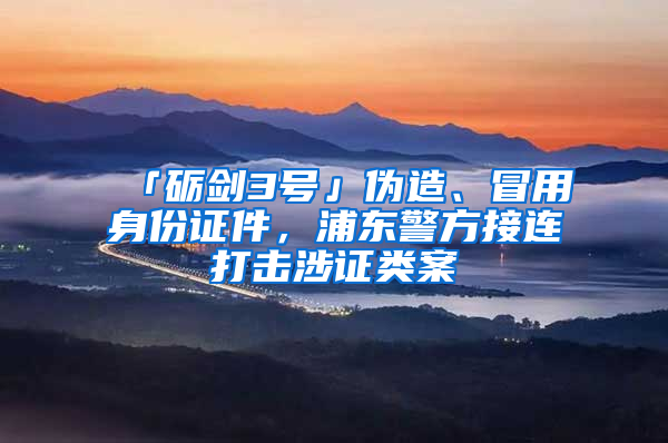 「礪劍3號(hào)」偽造、冒用身份證件，浦東警方接連打擊涉證類案