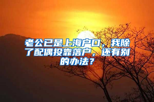 老公已是上海戶口，我除了配偶投靠落戶，還有別的辦法？